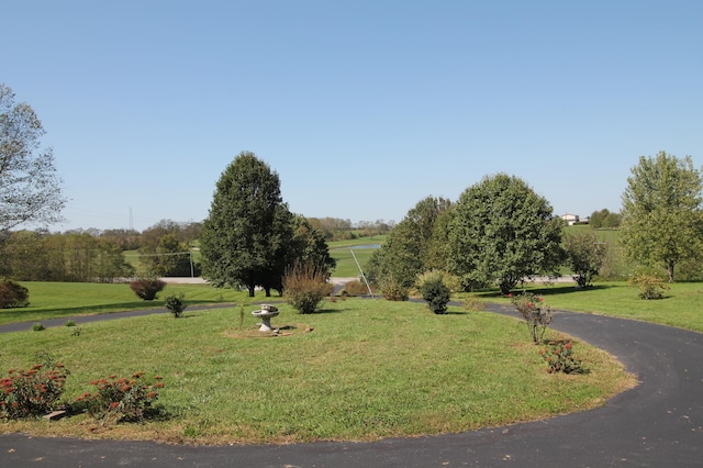 view of home's community featuring a yard