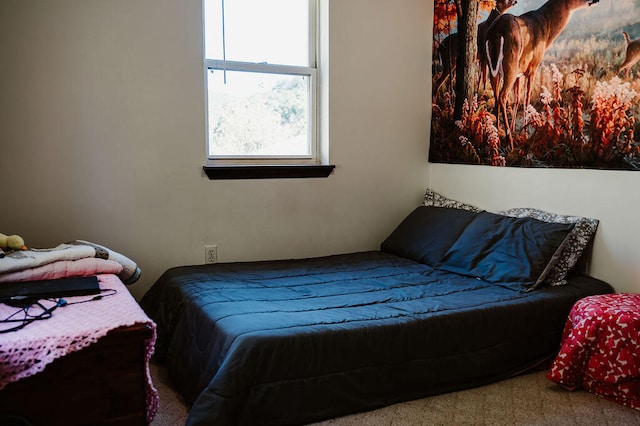 bedroom with carpet flooring