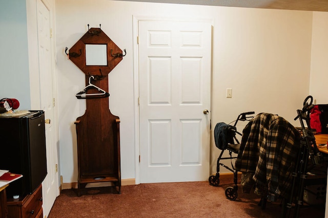 miscellaneous room with dark carpet