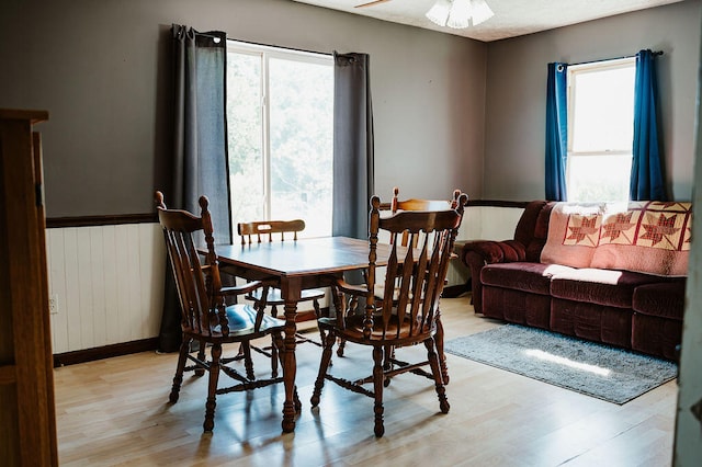 dining space with light hardwood / wood-style floors, radiator, ceiling fan, and plenty of natural light