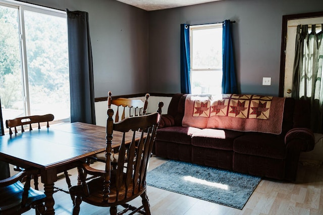 dining space with light hardwood / wood-style floors