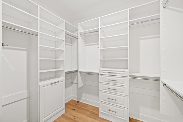 walk in closet featuring light wood-type flooring