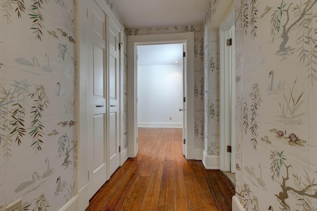 hall featuring dark hardwood / wood-style floors