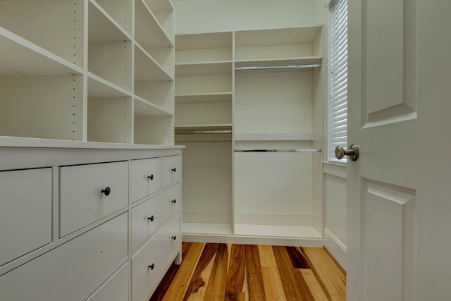 spacious closet with hardwood / wood-style flooring