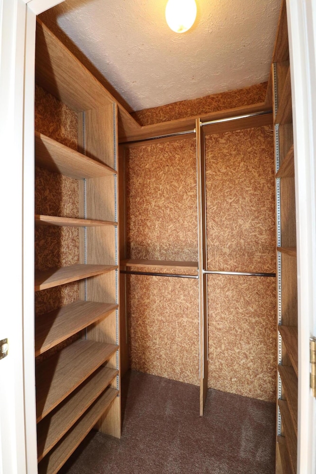 walk in closet featuring dark carpet