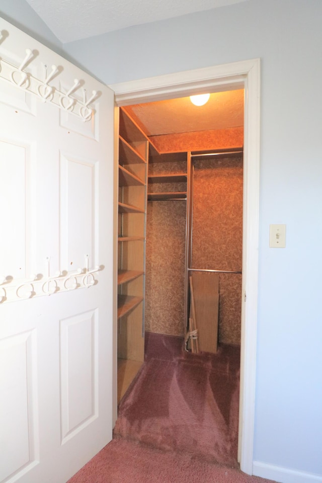 spacious closet featuring carpet floors