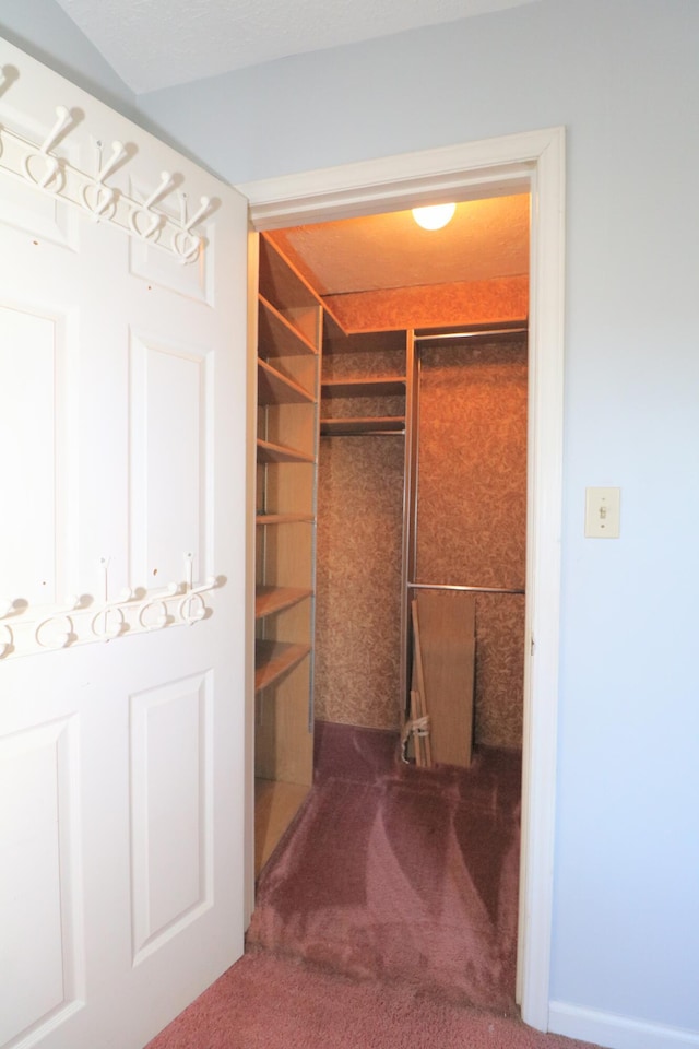 walk in closet featuring carpet