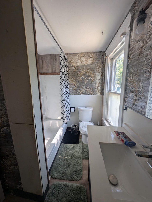 full bathroom featuring shower / bath combo, vanity, and toilet