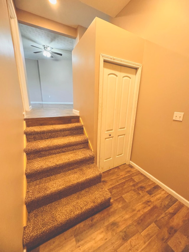 stairs featuring ceiling fan and hardwood / wood-style flooring