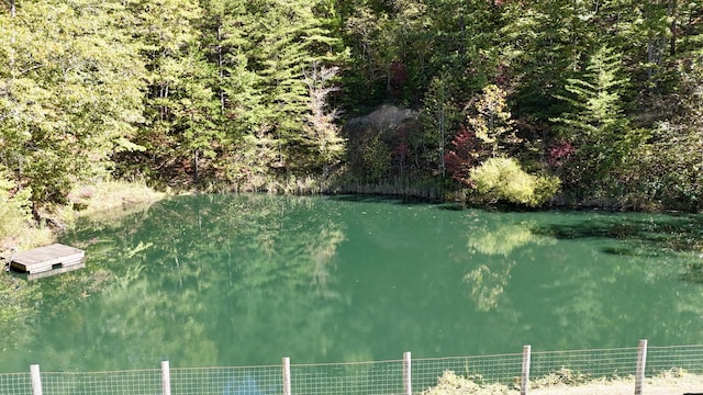 view of water feature