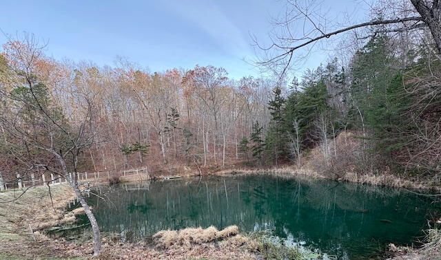 view of local wilderness with a water view