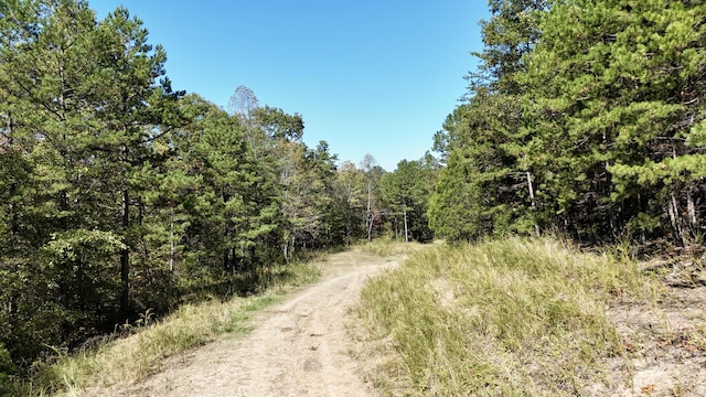 view of local wilderness