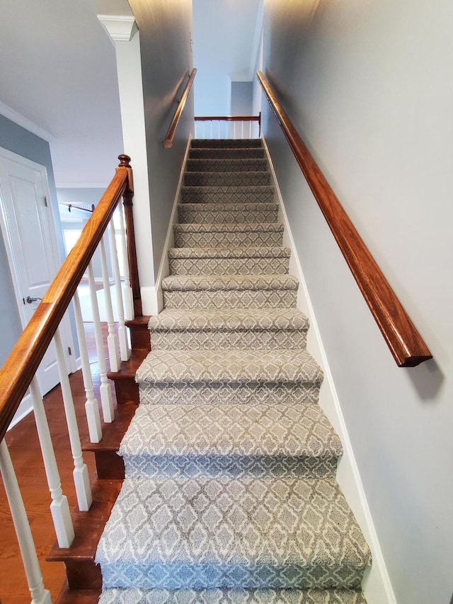 stairs featuring wood-type flooring and ornamental molding