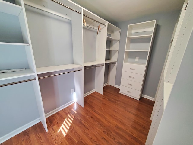 walk in closet with hardwood / wood-style floors