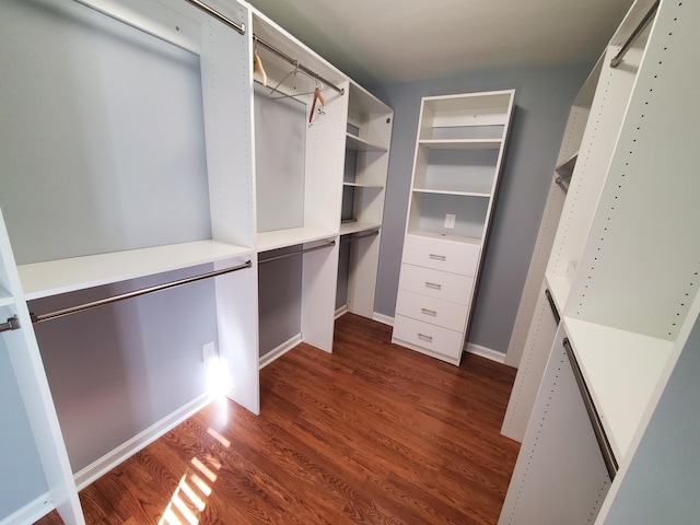 spacious closet featuring dark wood-type flooring