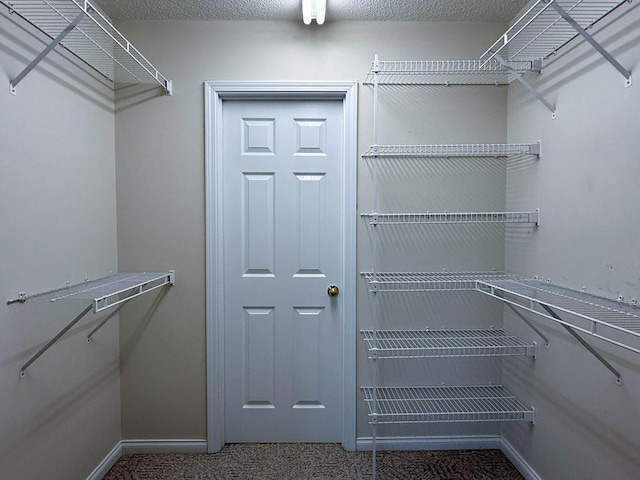 spacious closet featuring carpet