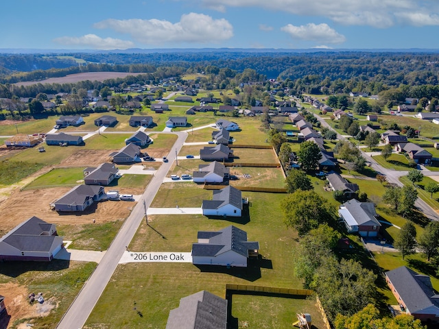 bird's eye view