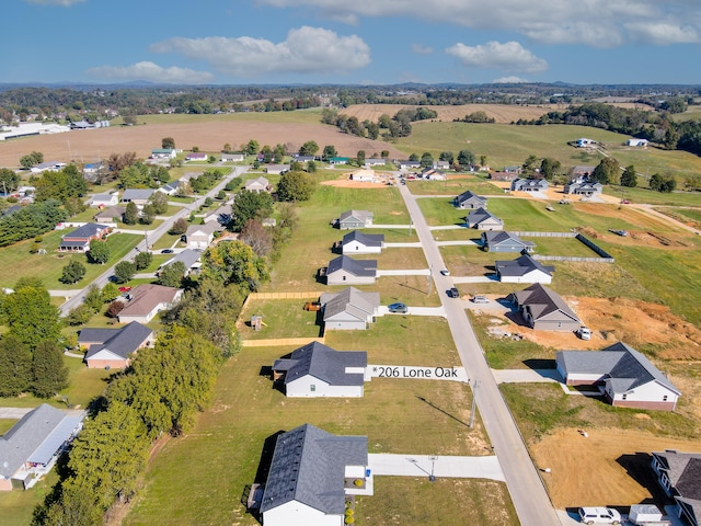 bird's eye view