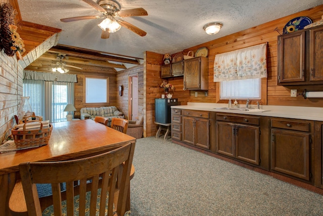 kitchen with wood walls, a textured ceiling, sink, and carpet floors