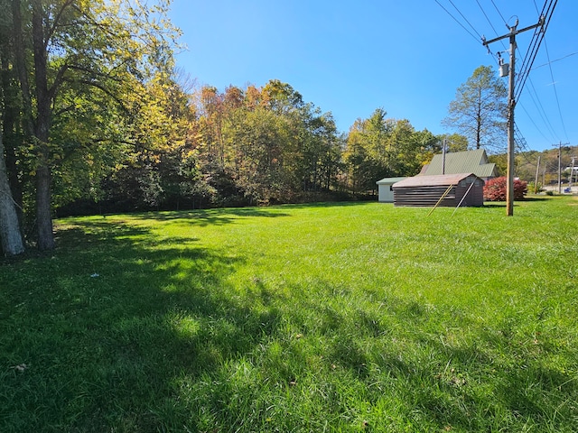 view of yard featuring an outdoor structure