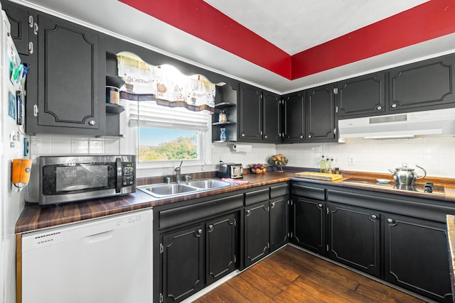 kitchen with backsplash, appliances with stainless steel finishes, sink, and dark hardwood / wood-style floors