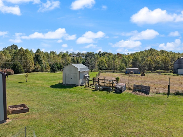 view of yard with a storage shed