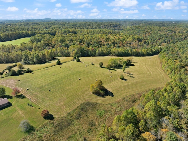 birds eye view of property with a rural view