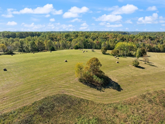 drone / aerial view with a rural view