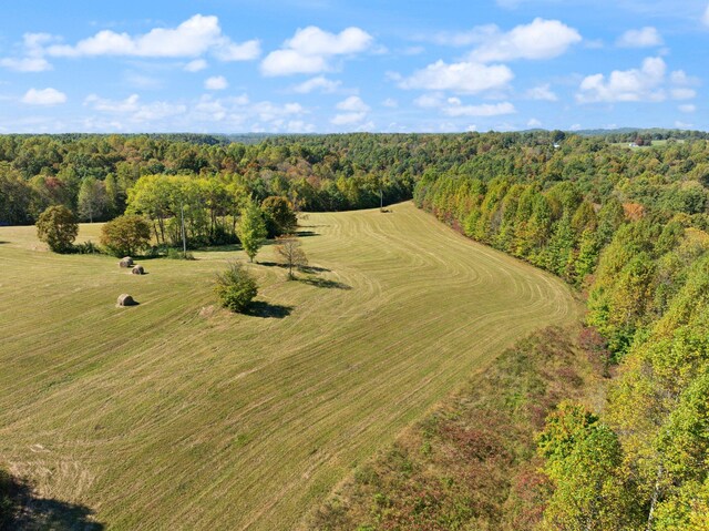 birds eye view of property with a rural view