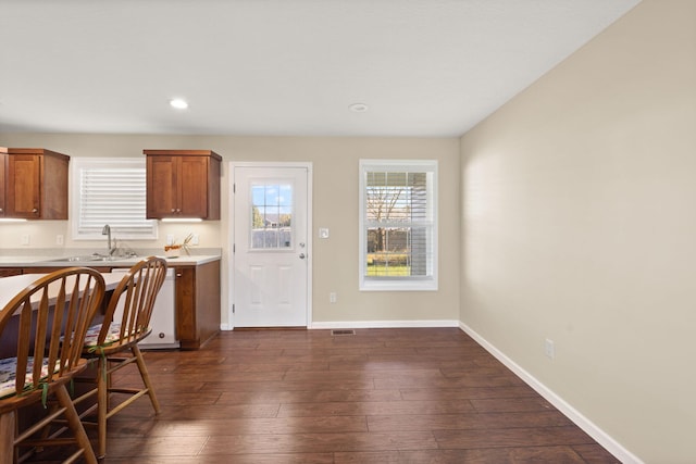 kitchen with dark hardwood / wood-style floors and sink