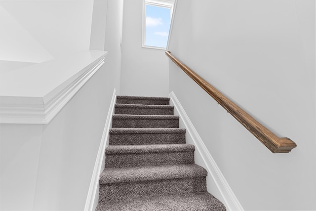 stairs featuring carpet flooring