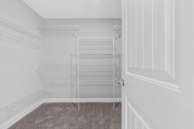 spacious closet with carpet