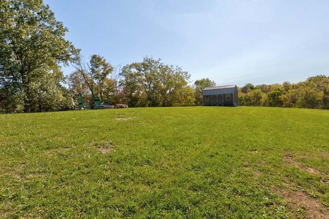 view of yard featuring a storage unit