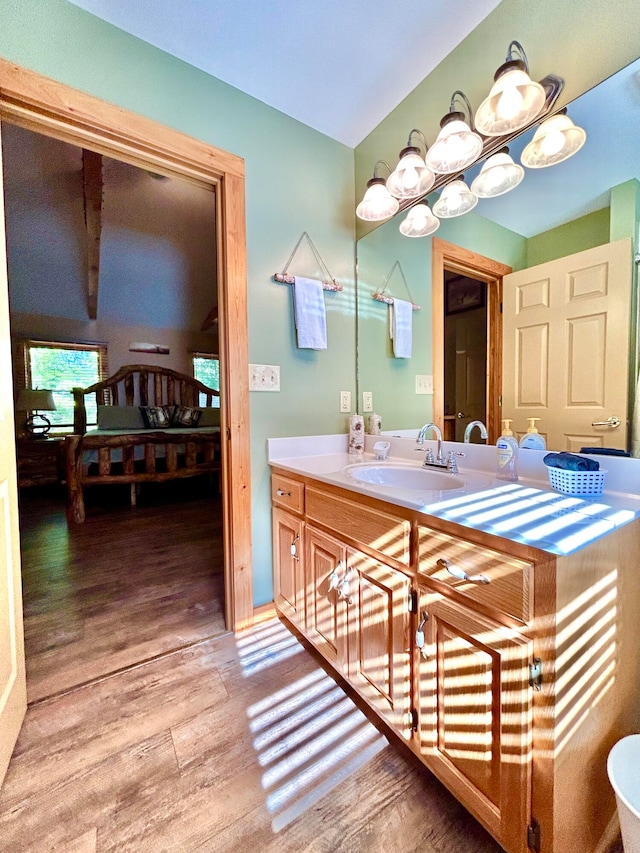 bathroom with hardwood / wood-style flooring and vanity