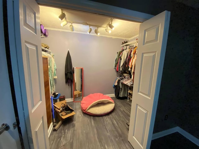 walk in closet with hardwood / wood-style flooring