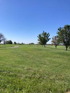 view of yard with a rural view