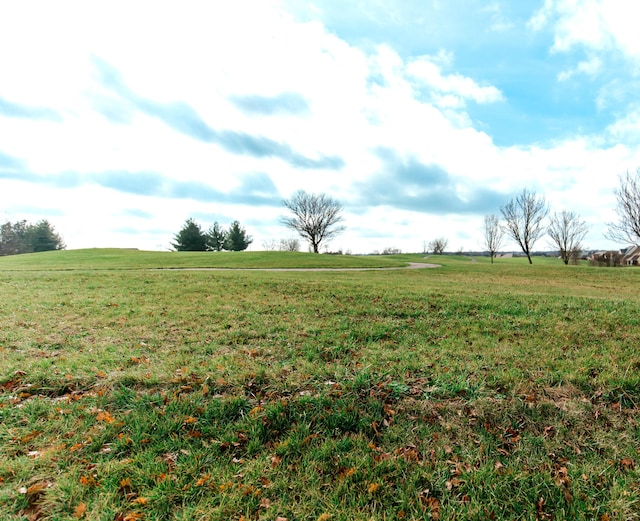 view of nature featuring a rural view