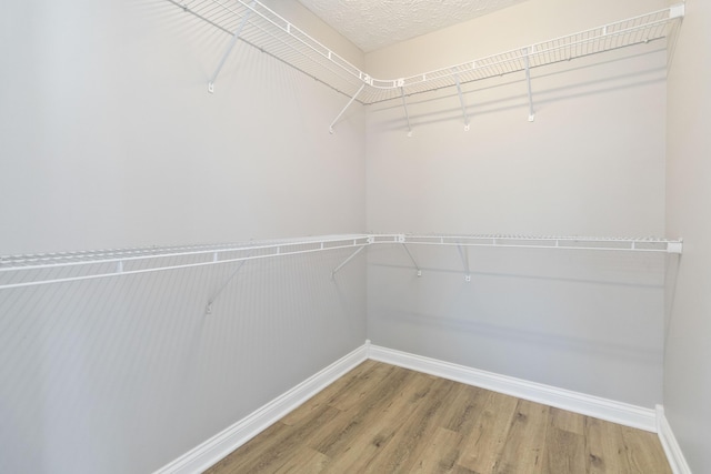 walk in closet with wood finished floors