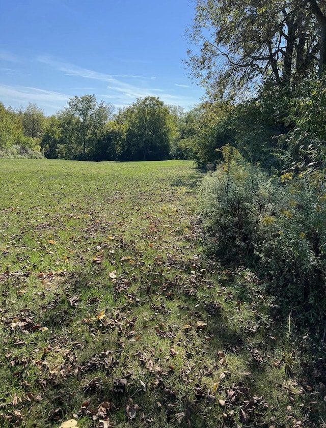 view of landscape