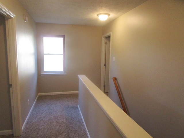 hall with carpet and a textured ceiling