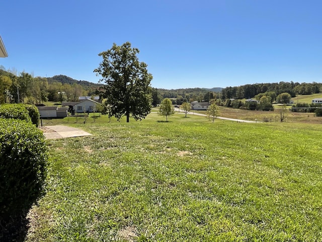 view of yard featuring a rural view, a patio area, and a mountain view