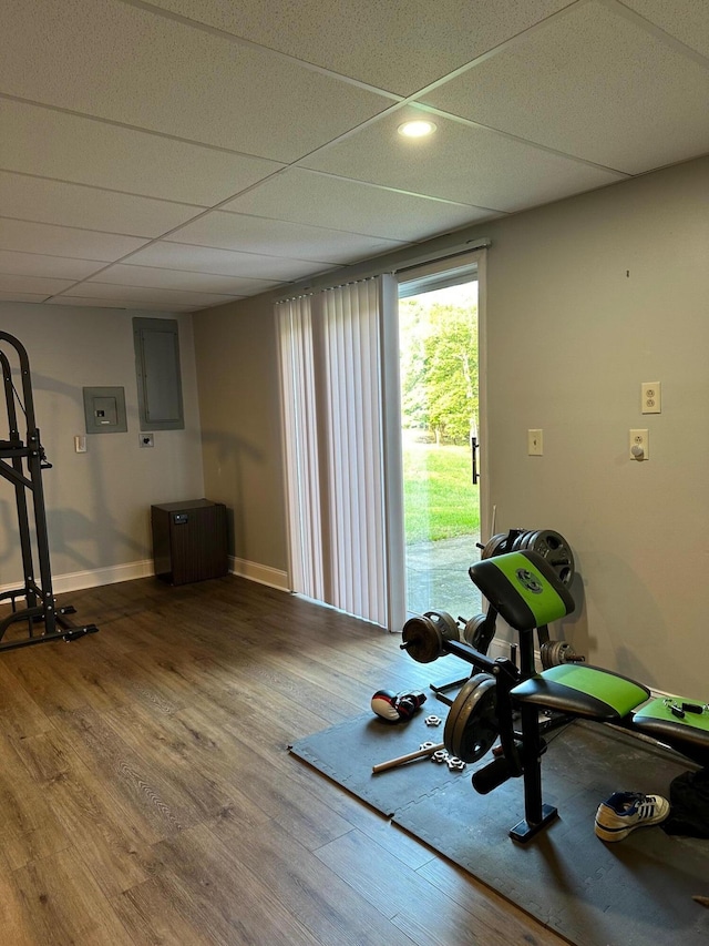 exercise area with electric panel, a paneled ceiling, and hardwood / wood-style flooring