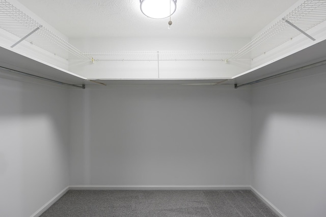 spacious closet featuring carpet flooring