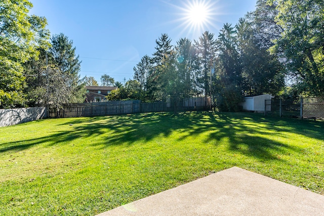 view of yard featuring a patio