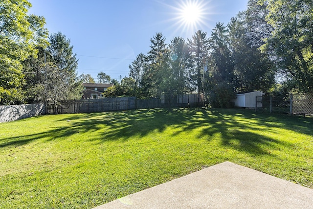 view of yard with a fenced backyard