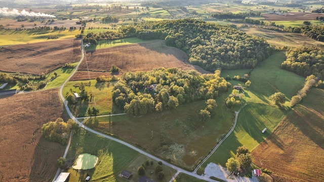 aerial view with a rural view