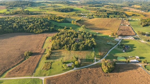 aerial view with a rural view