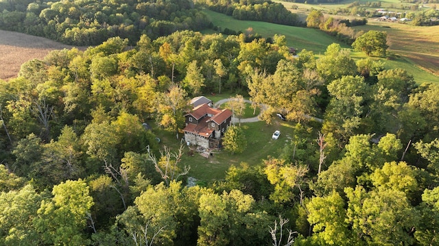 aerial view with a rural view