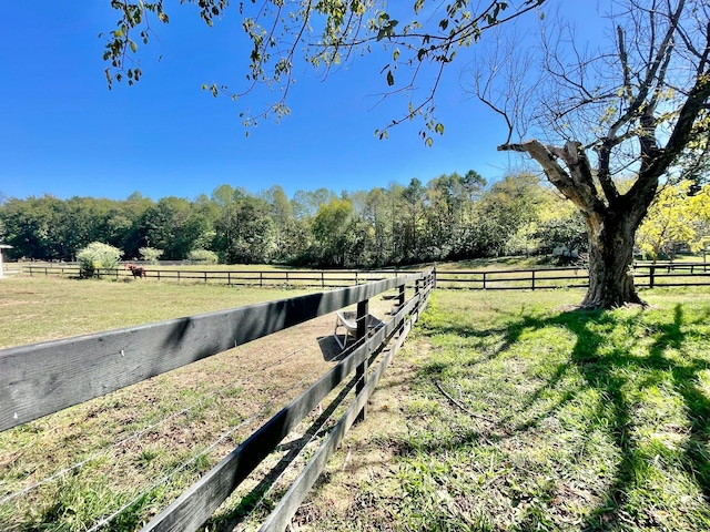 view of yard featuring a rural view