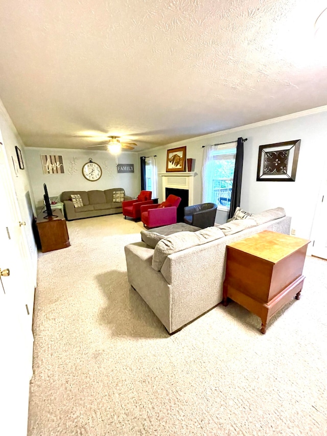 carpeted living room with ceiling fan, a textured ceiling, and crown molding